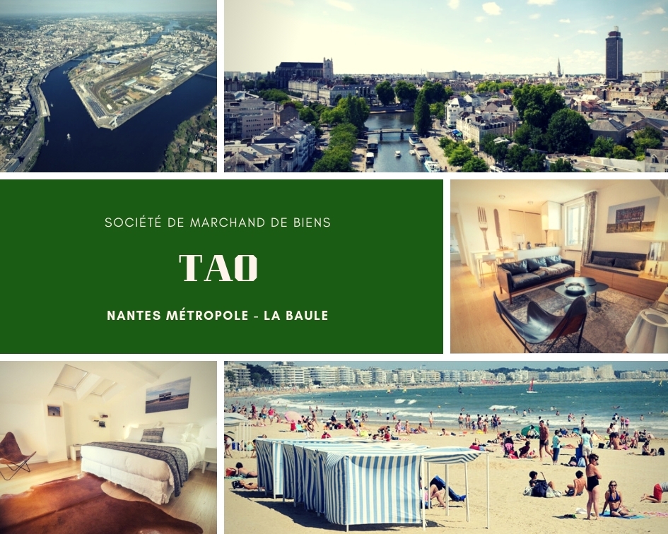 Vue Nantes