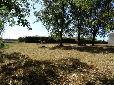 Vue terrains