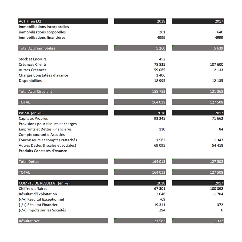 Comptes-Sociaux-Simplifiés-divipro-2018