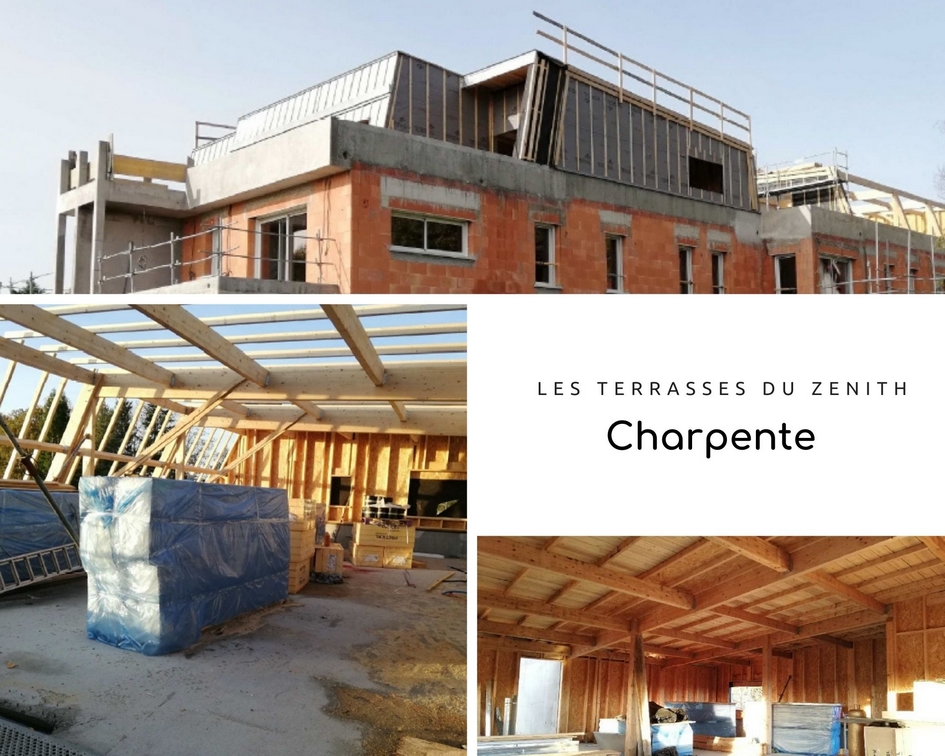 Vue Les terrasses du zenith